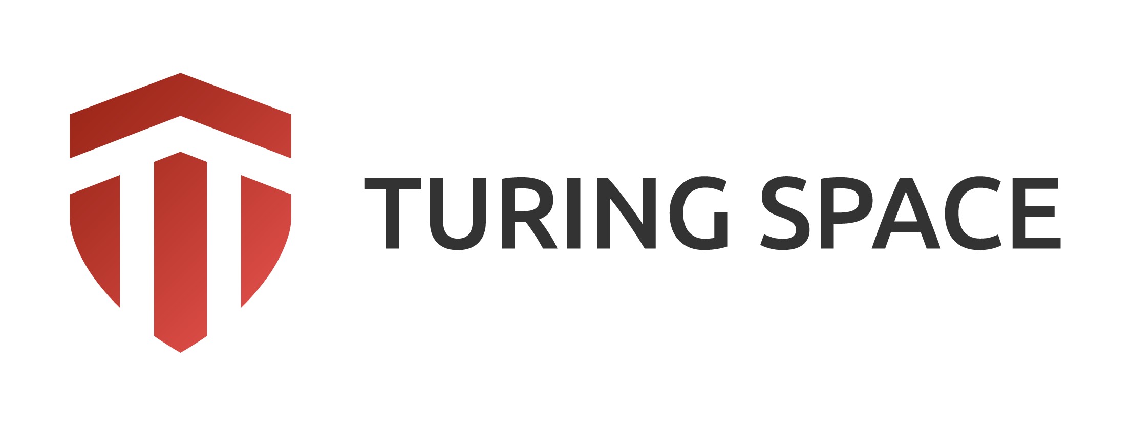 Turing Space Inc.