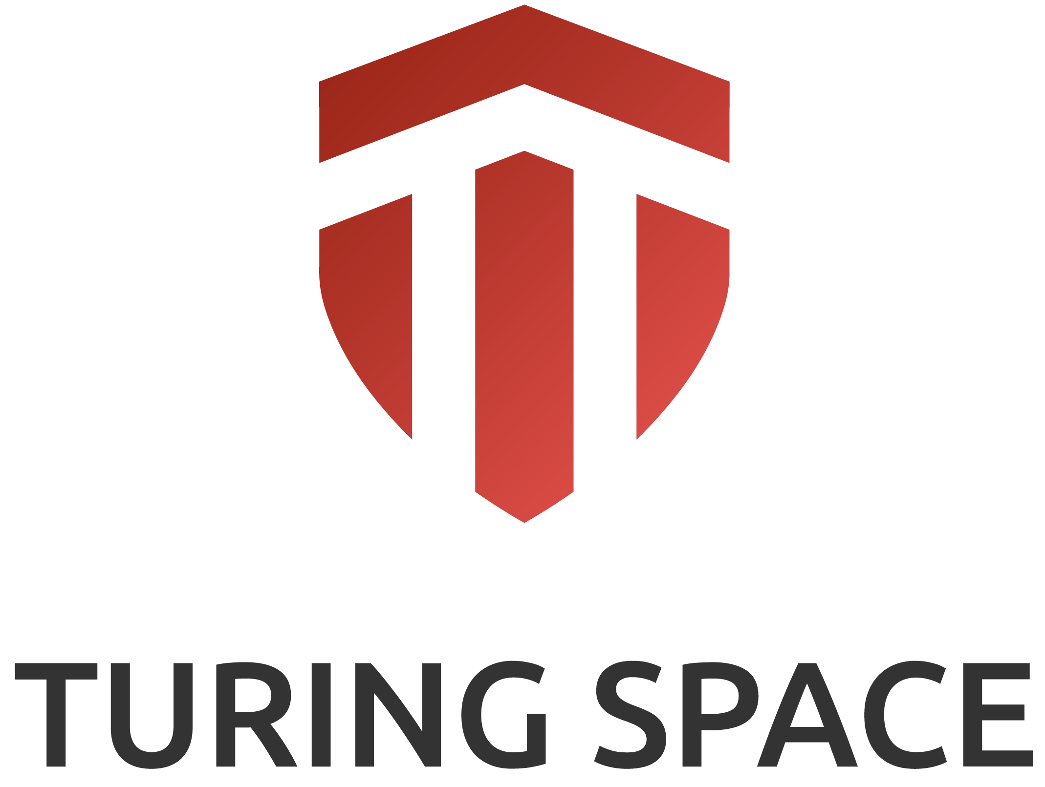 Turing Space Inc.